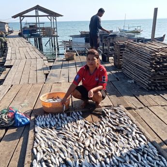 Berdayakan UMKM sampai ke Pelosok Negeri, BRI Dorong Pengusaha Ikan Kering Sorong Naik Kelas Lewat Program 'Klasterku Hidupku'