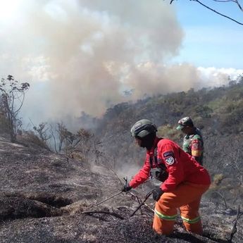 Karhutla Lereng Gunung Semeru Meluas, Area Terdampak Diperkirakan Lebih dari 600 Hektare
