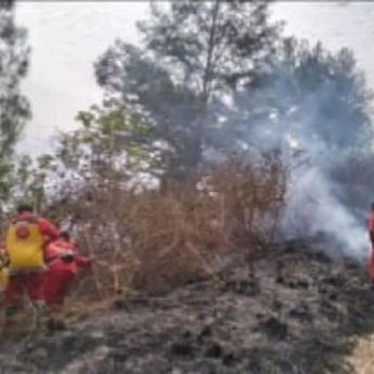 Cek Fakta: Pemerintah Tolak Anggaran Penanganan Karhutla di Kalimantan