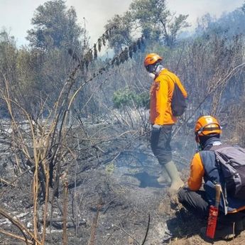 Karhutla Meluas, Lima Kawasan Pegunungan di Jatim Dilanda Kebakaran