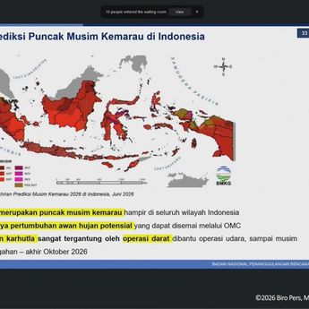 BNPB Komitmen Lanjutkan Operasi Pemadaman Karhutla Sampai Musim Hujan Datang