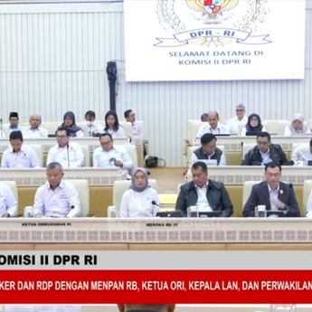 Ketua Ombudsman Tak Hadir Rapat dengan DPR, Gara-gara Bandara Soetta Ditutup