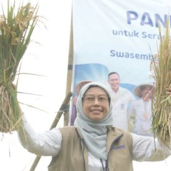 KPK Panggil Kepala Bulog Jateng dan 37 Saksi Terkait Kasus Bansos Beras