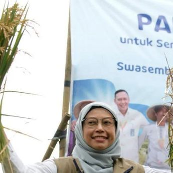 KPK Periksa Kepala Bulog Jateng dan 38 Saksi di Kasus Bansos Beras