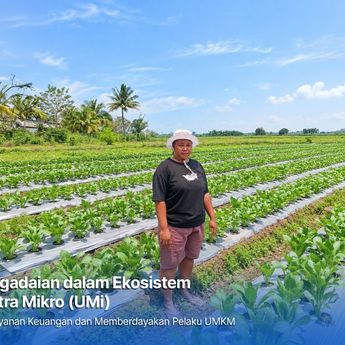 Dari Gadai Emas hingga KUR Mikro, Holding Ultra Mikro Bawa Mur Dwi Astuti Sukses Jadi Petani di Merauke