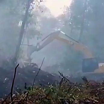 Kemenhut Catat 1.532 Hotspot Karhutla, Terbanyak di Kalimantan Tengah