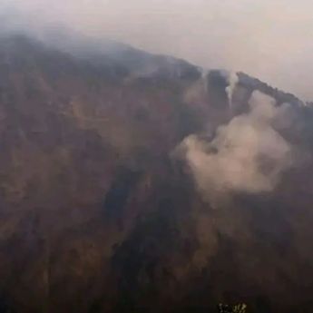 BNPB: Karhutla di Bukit Stampol TNGR Capai 127 Hektare, Nihil Korban