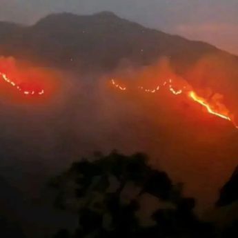 Luas Kebakaran Kawasan Gunung Rinjani Capai 589,23 Hektare