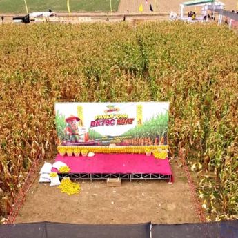 Hari Tani Nasional 2026: Bayer Indonesia dan 7.000 Petani Jagung Tunjukkan Potensi Hasil Panen Lebih Tinggi