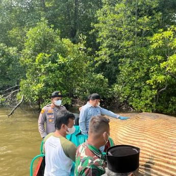 Sampel Darah Paus yang Terdampar di Indragiri Hilir Dikirim ke BRIN