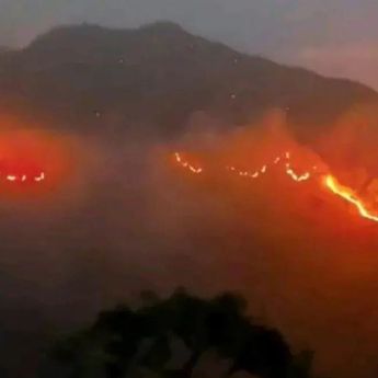 Kebakaran di NTB Tembus 719 Kasus, Kerugian Capai Rp70,97 Miliar