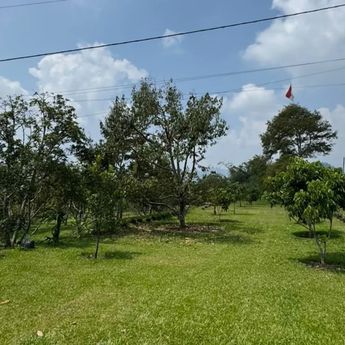 KPK Cek Aset Glamping 1,5 Hektare di Subang