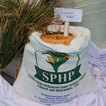 BULOG Terus Percepat Penyaluran SPHP Jagung Pakan, Pastikan Stok Nasional Mencukup
