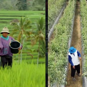 DPR Sebut Petani Kecil RI Hidupnya Gak Pernah Sejahtera