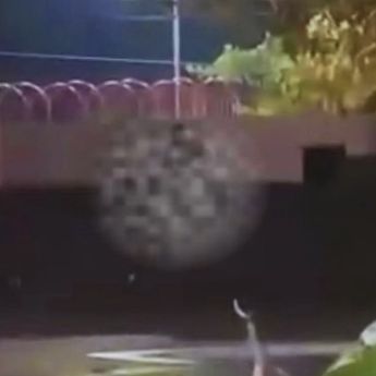 Viral! Aksi Mesum Dua Sejoli di Depan Kantor Wali Kota Depok Terekam Kamera
