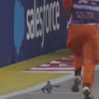 Viral! Biawak Ganggu Sesi Latihan F1 GP Singapura
