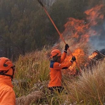 Kronologi Karhutla Bromo: Empat Petugas dan Relawan Meninggal Dunia