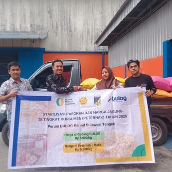 BULOG Gencarkan Penyaluran 150 Ribu Ton SPHP Jagung Tahap II, Prioritaskan Peternak Mikro