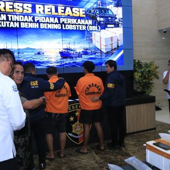 Polri Bongkar Jaringan Penyelundupan Baby Lobster Lintas Negara