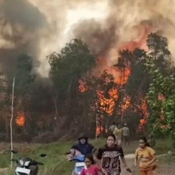 VIDEO: Warga Panik Api Kebakaran Hutan Mendekati Rumah Mereka