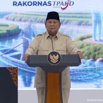 Prabowo Targetkan 700 BUMN Ditutup hingga Akhir 2026, Sebanyak 364 Sudah Dirampingkan
