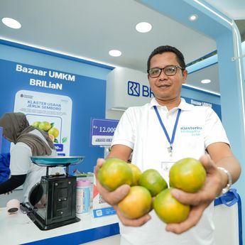 Dulu Berjualan Jeruk dengan Sepeda Motor, Kini Jaringan Usaha Antoni Mampu Kirim hingga 3 Truk Sehari Berkat Pemberdayaan BRI