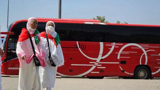 Lupa Jalan ke Hotel, Jemaah Jangan Sungkan Minta Tolong Petugas Seksus Masjid Nabawi