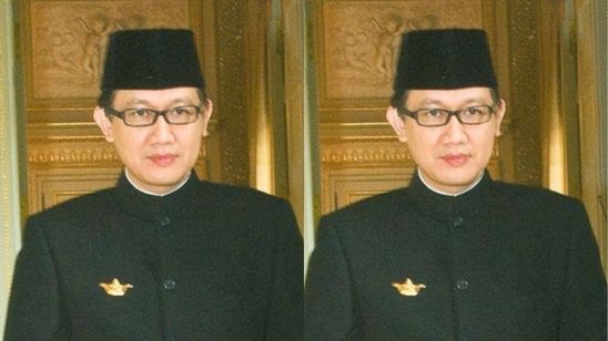 Profil Arif Havas Oegroseno, Wakil Menteri Luar Negeri