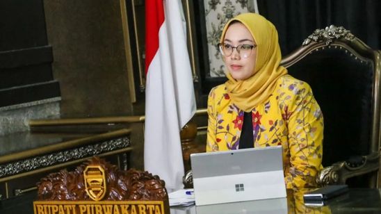 Fakta Anne Ratna Mustika Eks Istri Dedi Mulyadi Hanya Raih 7% Suara di Pilbup Purwakarta