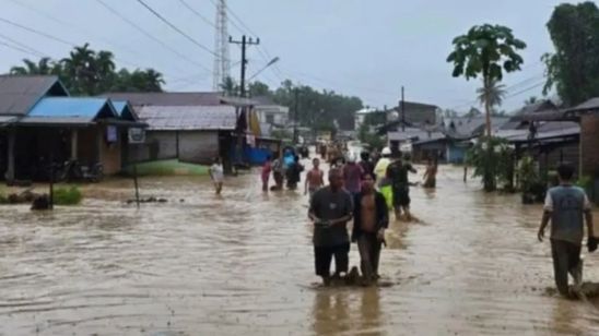 Lereng Gundul dan Pembalakan Liar Perparah Banjir Beruntun di Tapanuli