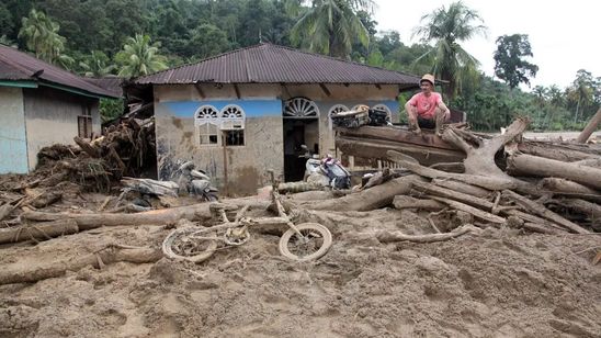 Kementan Kirim Bantuan Pangan untuk Korban Banjir di Sumatera dan Aceh