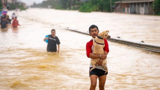 Hujan Ekstrem Sebabkan Banjir di Thailand Selatan, Tewaskan 87 Orang