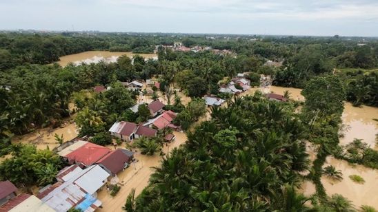 Aksi Dramatis Tim SAR Evakuasi Warga di Banjir Bireuen yang Naik Pohon Kelapa