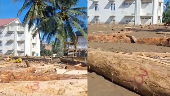Viral Video Batang Pohon yang Terbawa Banjir Sudah Ditulisi Nomor