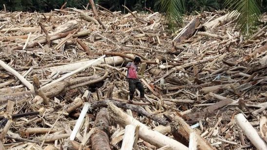 Polri-Kemenhut Telusuri Kayu Gelondongan Terseret Banjir di Sumatera