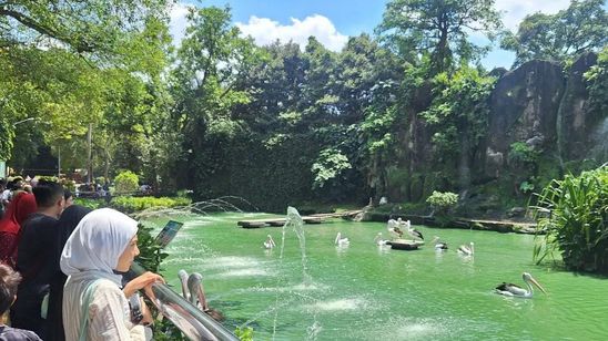 Ragunan Perpanjang Jam Kunjungan Selama Libur Natal dan Tahun Baru