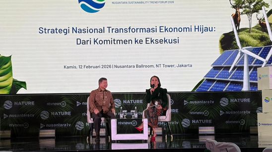 Hashim: Tak Ada Urgensi Buka Lahan untuk Food Estate