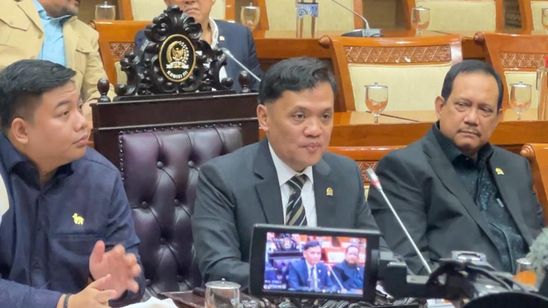 Hakim Vonis Bebas Amsal Sitepu, DPR: Apresiasi Setinggi-tingginya