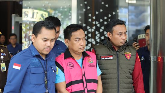 DPR Minta Maaf Sudah Loloskan Ketua Ombudsman saat Fit and Proper Test
