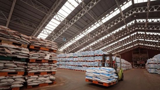 Hashim: Pupuk Indonesia Tahan Gejolak Global, Ekspor Urea Diburu Australia hingga India