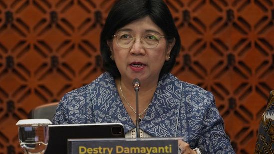 Profil Destry Damayanti, Ekonom yang Ditunjuk Pimpin Sementara Bank Indonesia