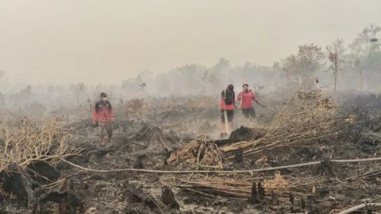 Asap Karhutla Kalimantan Barat Sampai Malaysia, Enam Sekolah di Sarawak Ditutup