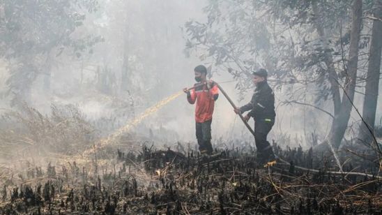 Buntut Kabut Asap Karhutla, Malaysia Tutup Hampir 600 Sekolah di Sarawak