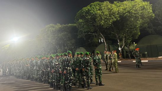 TNI Kerahkan Satgas Khusus Percepat Penanganan Karhutla ke Riau