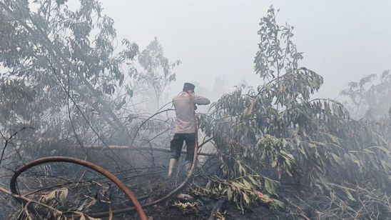 Cek Fakta: Haji Isam Ditunjuk sebagai Koordinator Penanganan Karhutla di Kalimantan?