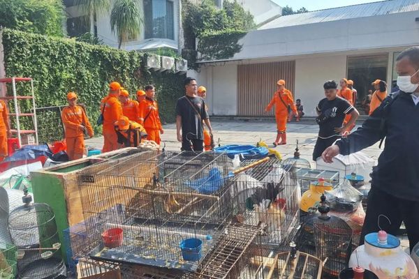 Penertiban Pedagang di Jalan Barito