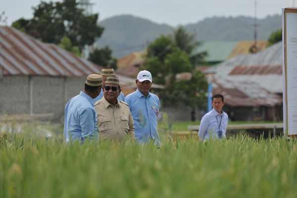 Prabowo Dianugerahi Penghargaan Adi Bhakti Maha Utama oleh Petani dan Nelayan Indonesia