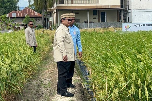 Prabowo Subianto meninjau Teknologi Budidaya Padi Pertanian Modern Model Advanced Agricultural System (PM-AAS) serta area Gelar Teknologi yang menampilkan berbagai inovasi di bidang pertanian, perikanan, peternakan, perkebunan, dan teknologi pendukun