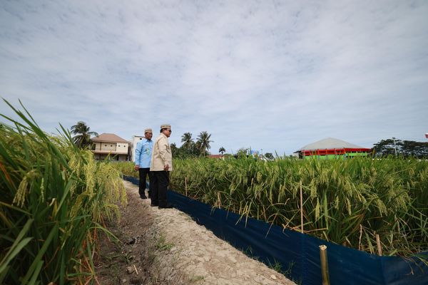
Spanduk Dukung MBG Membentang Kala Prabowo Pidato di Hadapan Petani-Nelayan.