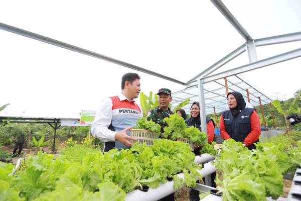 Dari Energi Bersih Hingga Peluang Usaha, Desa Energi Berdikari Perkuat Ekonomi Masyarakat Desa